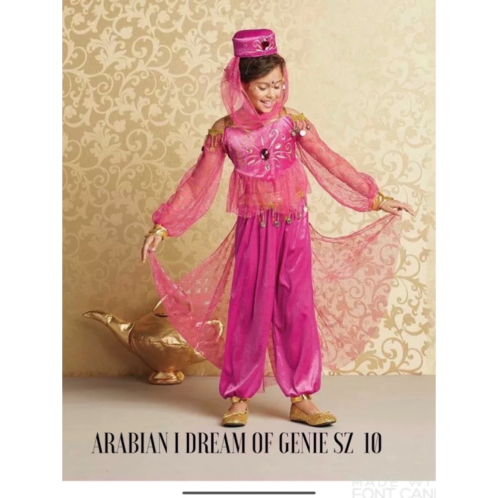 CHASING FIREFLIES Dream of Jeannie Arabian Costume